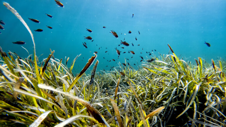 C:DCIM100GOPROGOPR0994.GPR