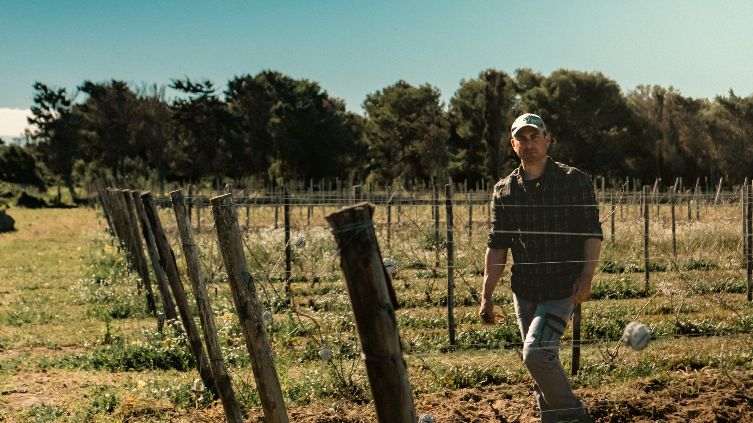 AtomFilms.Sant'Antioco-129