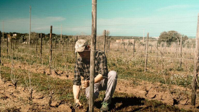 AtomFilms.Sant'Antioco-161