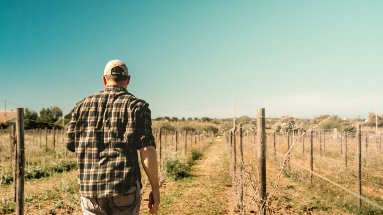 AtomFilms.Sant'Antioco-170