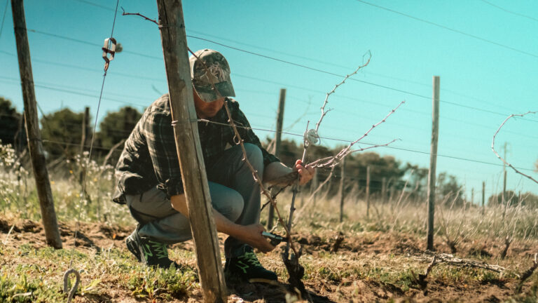 AtomFilms.Sant'Antioco-189