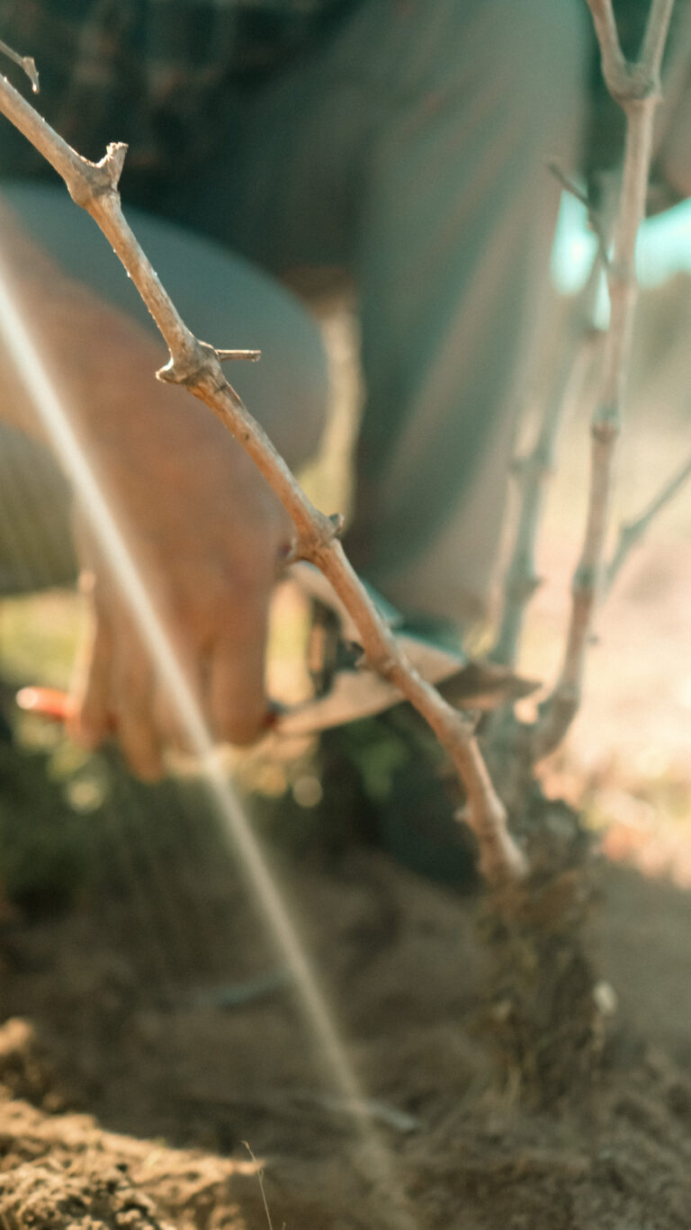 AtomFilms.Sant'Antioco-193