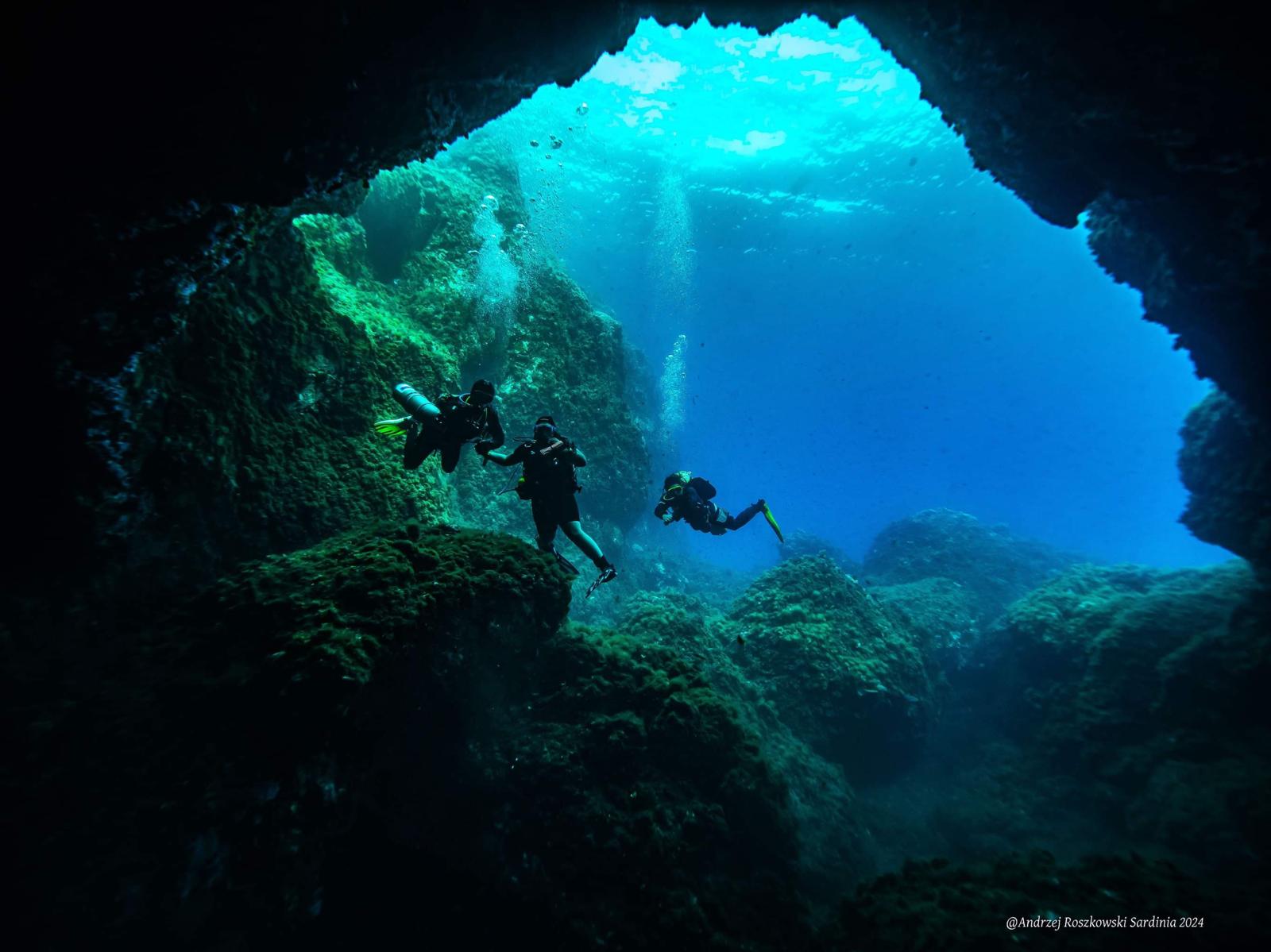 IMG-20240708-WA0013 - Dominika Kucal