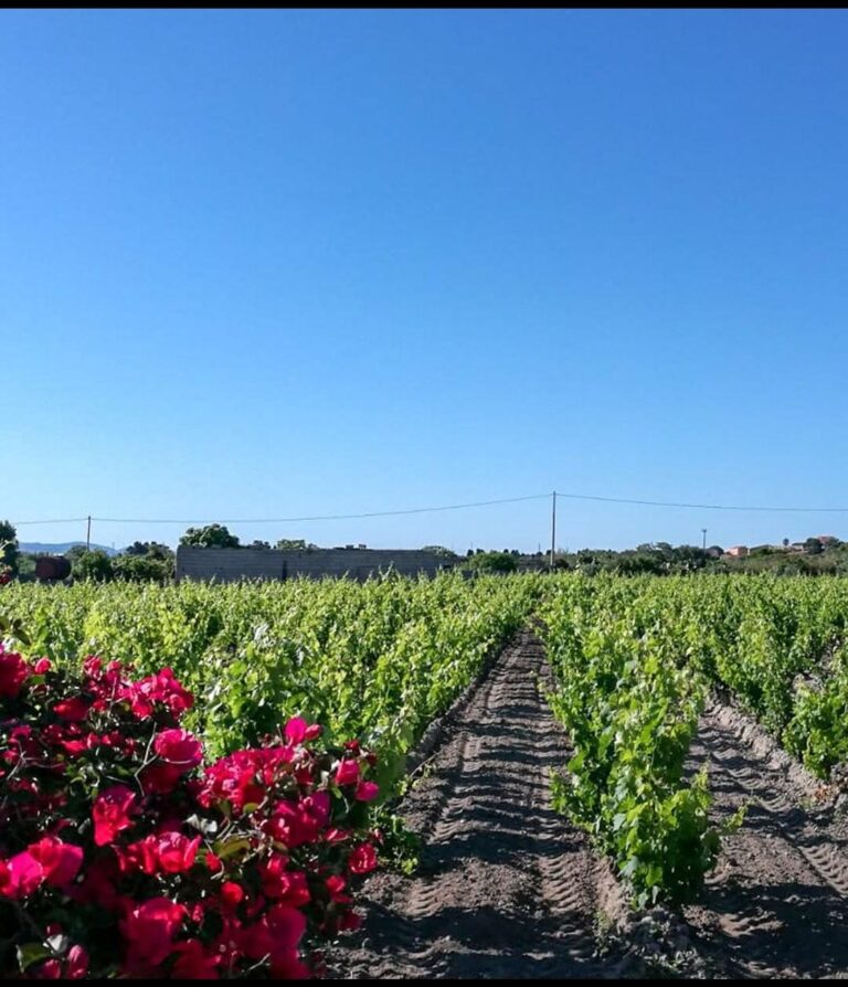 IMG-20250222-WA0017 - Bettina Caddeo