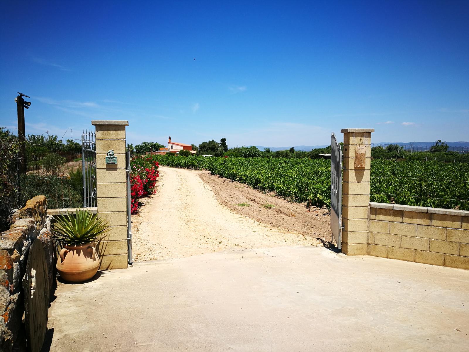 IMG-20250222-WA0023 - Bettina Caddeo