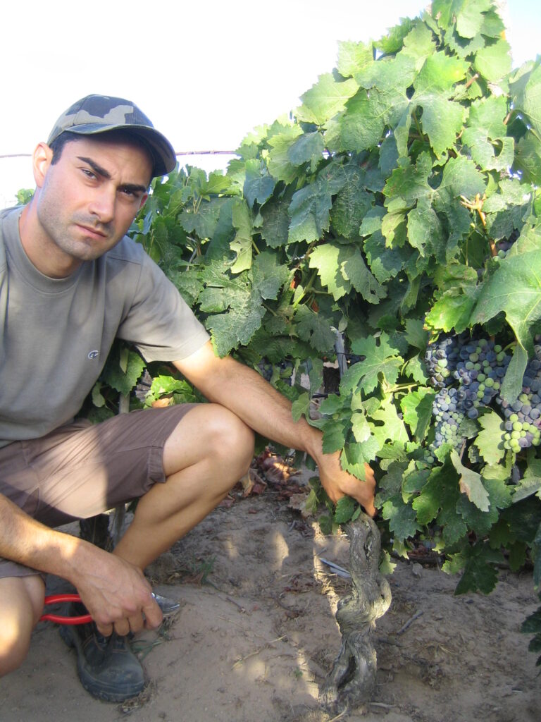 IMG_0048 - Roberto Matzeu