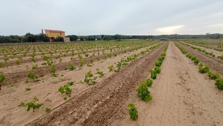 IMG_20220428_194632 - Giuseppe Latte