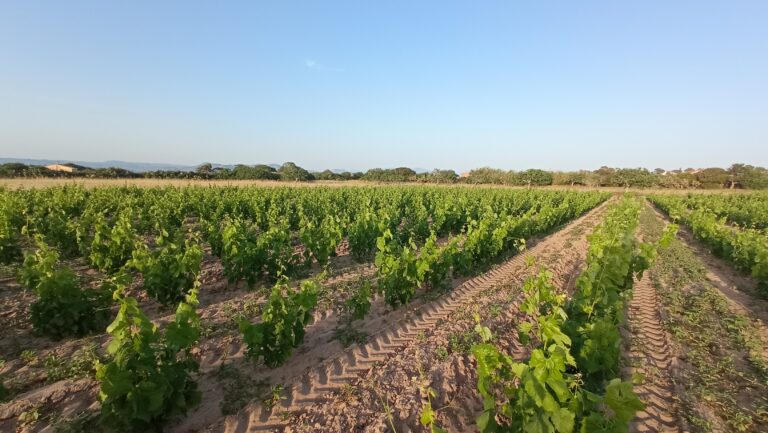 IMG_20220521_194101 - Giuseppe Latte