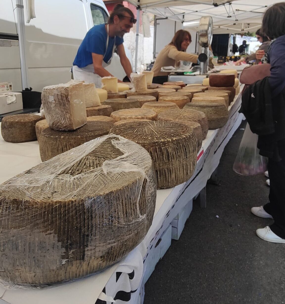 Immagine WhatsApp 2025-04-29 ore 12.08.11_36f26148