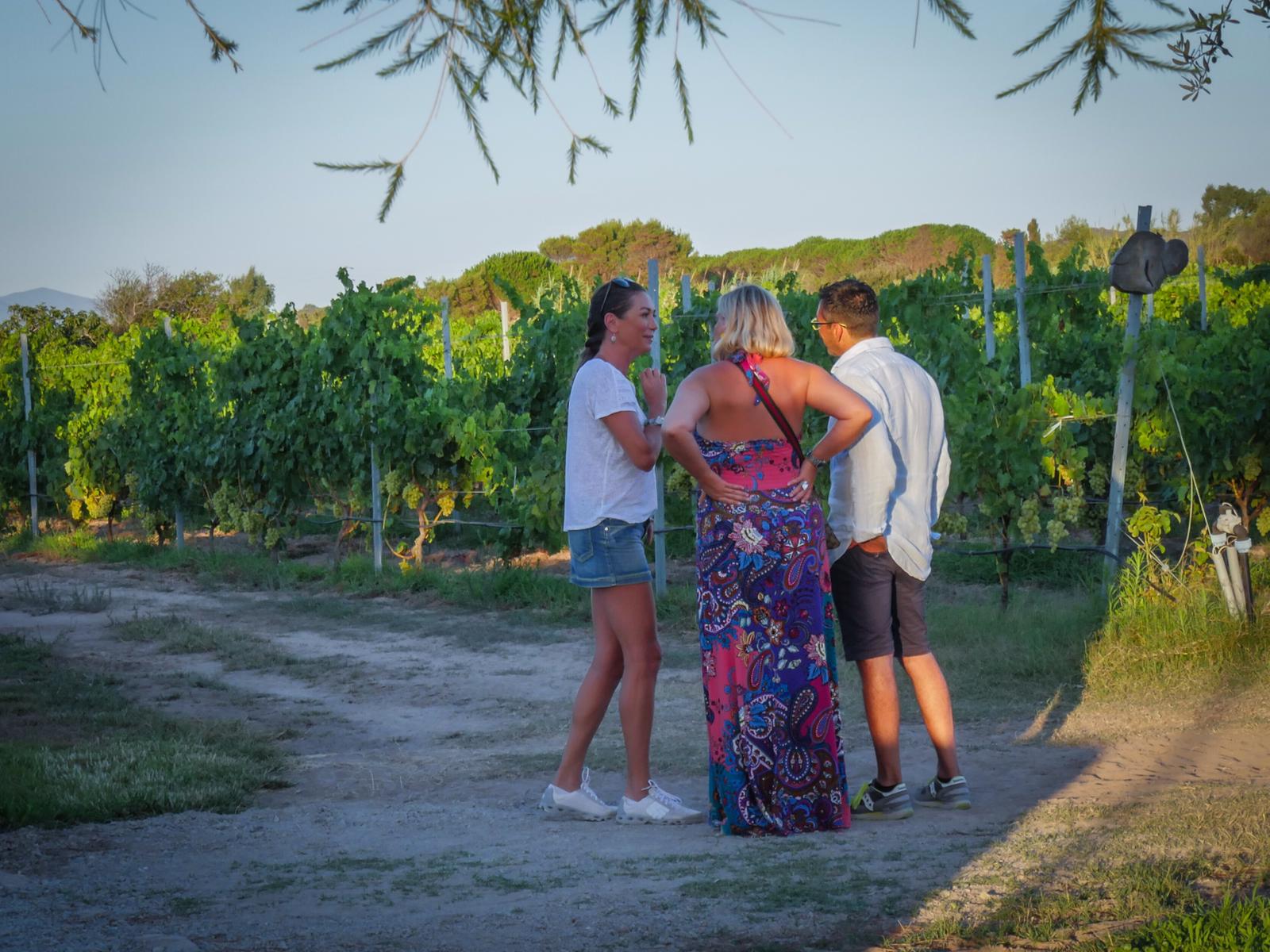 aae96605-bfb6-467e-bef0-4fde5ee2f5e9 - Tessa Gelisio