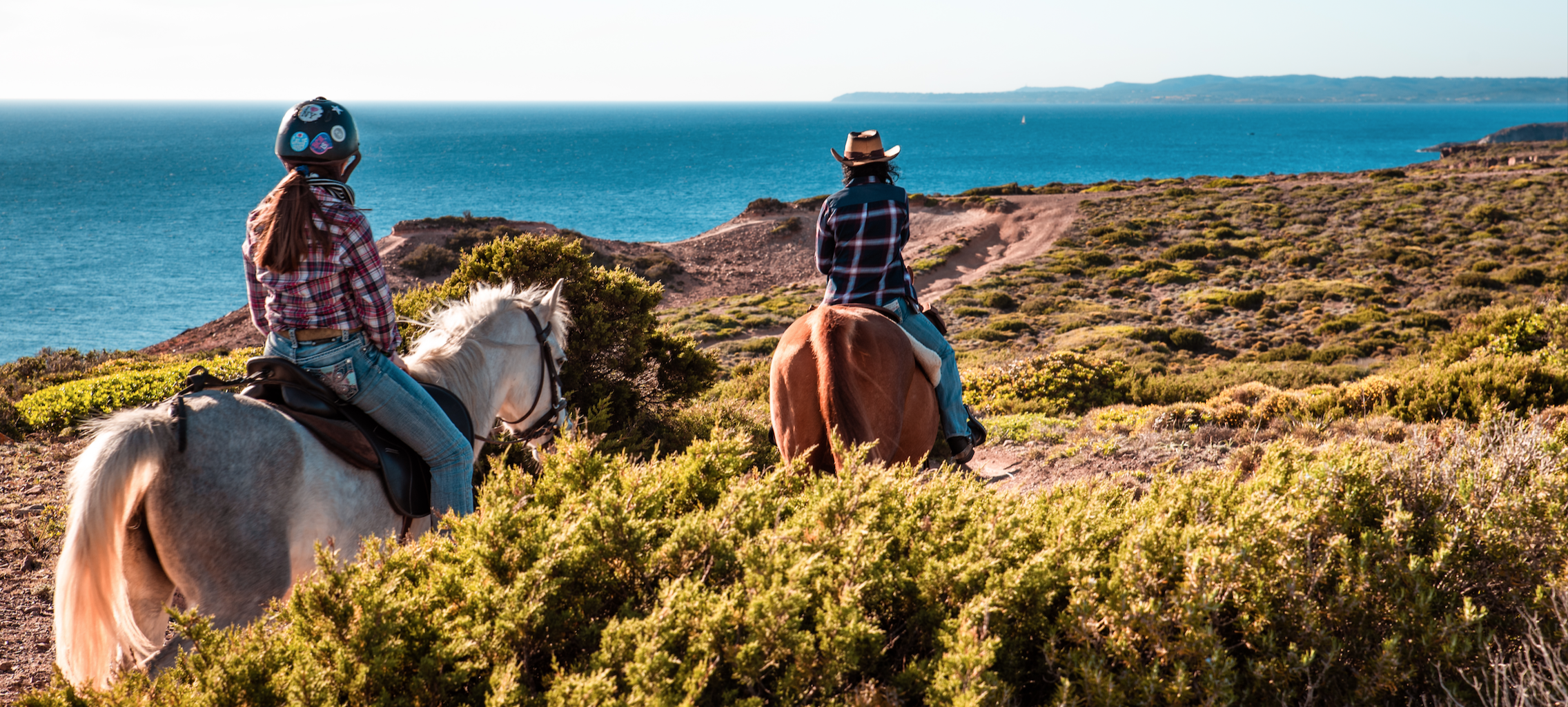 cavallo testata 2 - Carolina Ranch