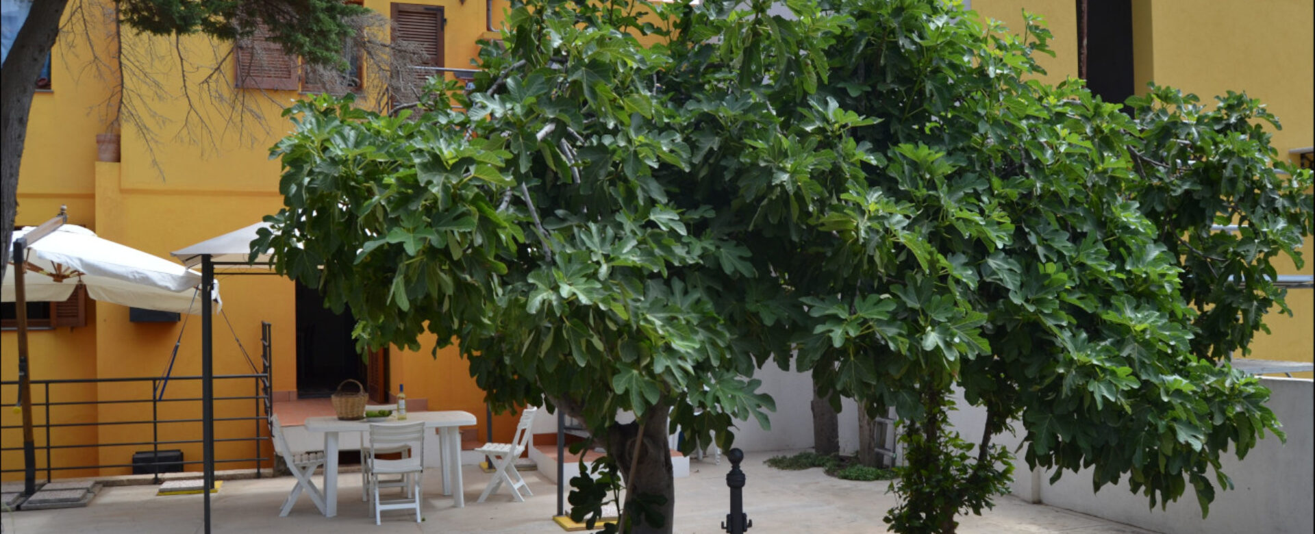 esterno-belv-1920x780-1