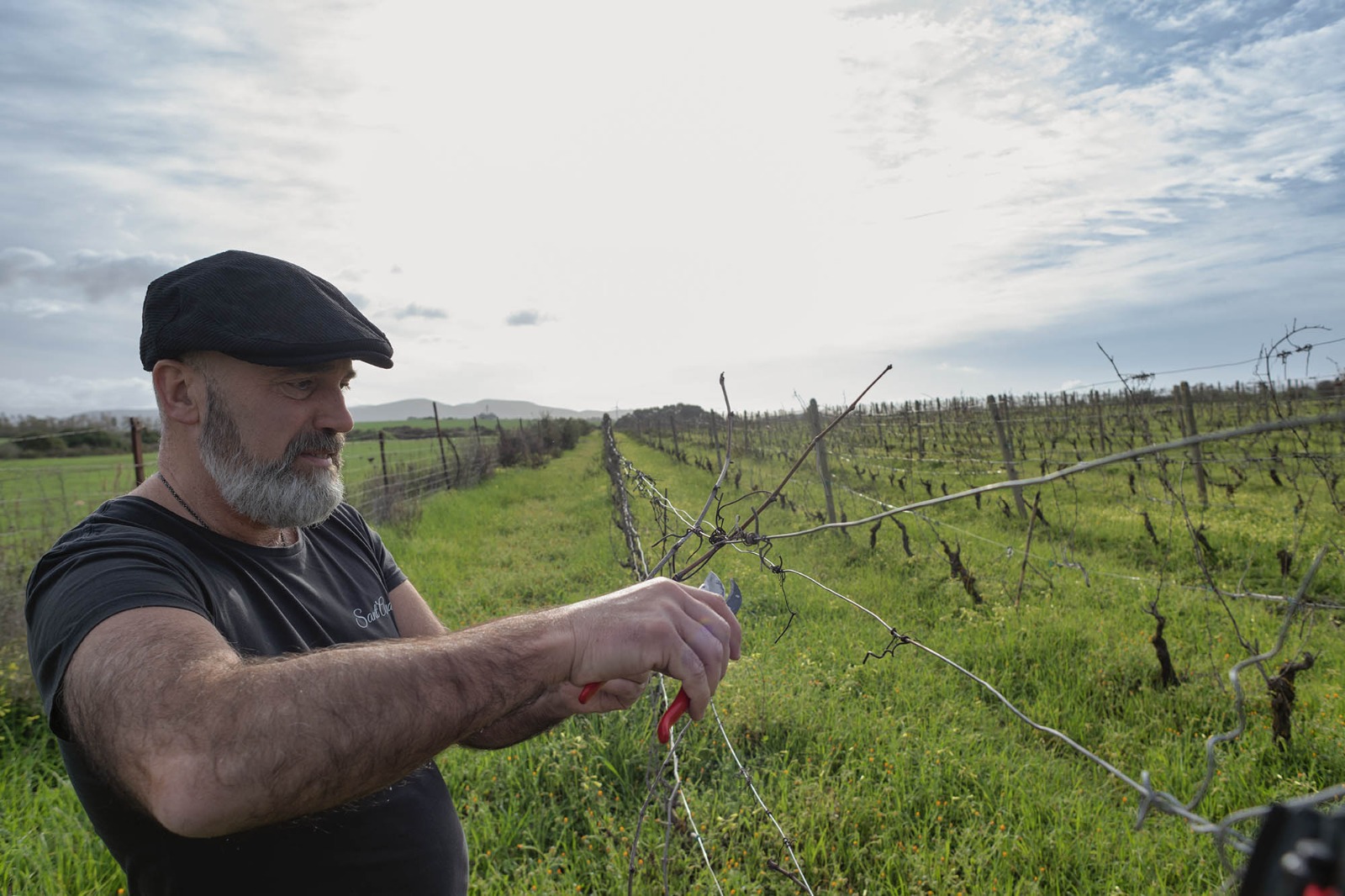 image0 (1) - francesco bertagna