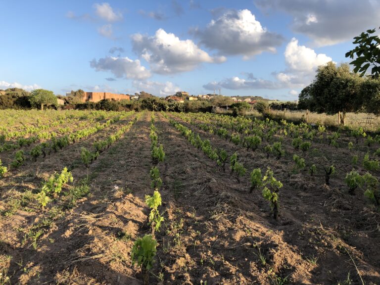 image2 - francesco bertagna