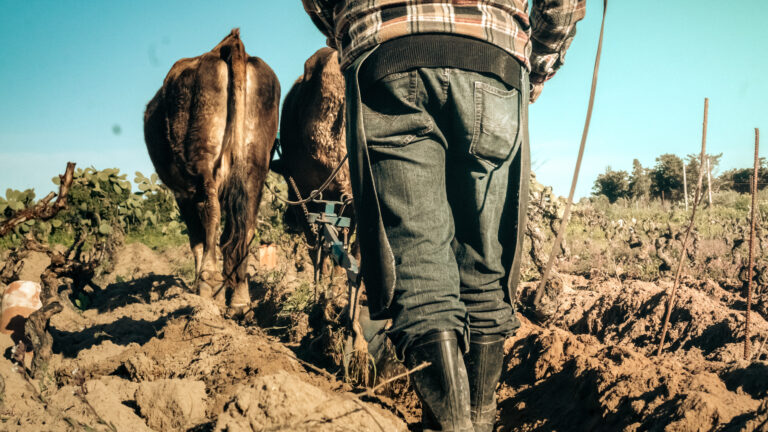 AtomFilms.Sant'Antioco-059