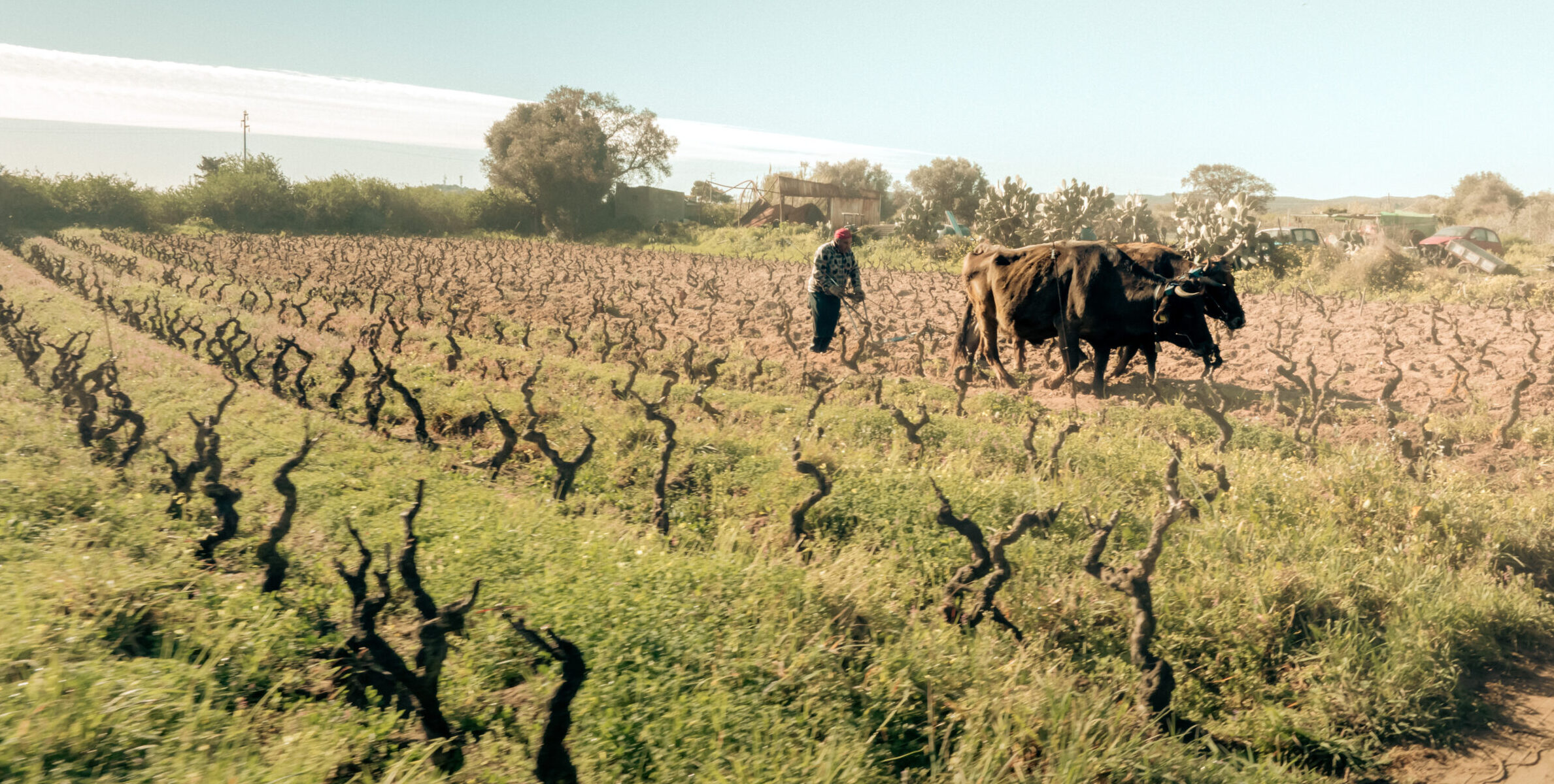 AtomFilms.Sant'Antioco-090