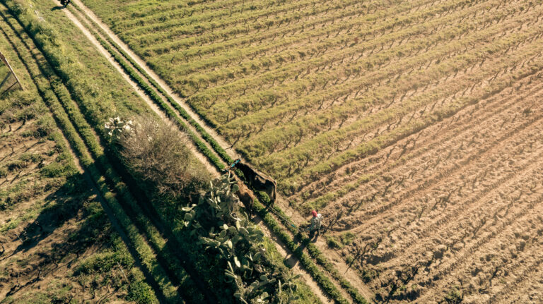 AtomFilms.Sant'Antioco-094