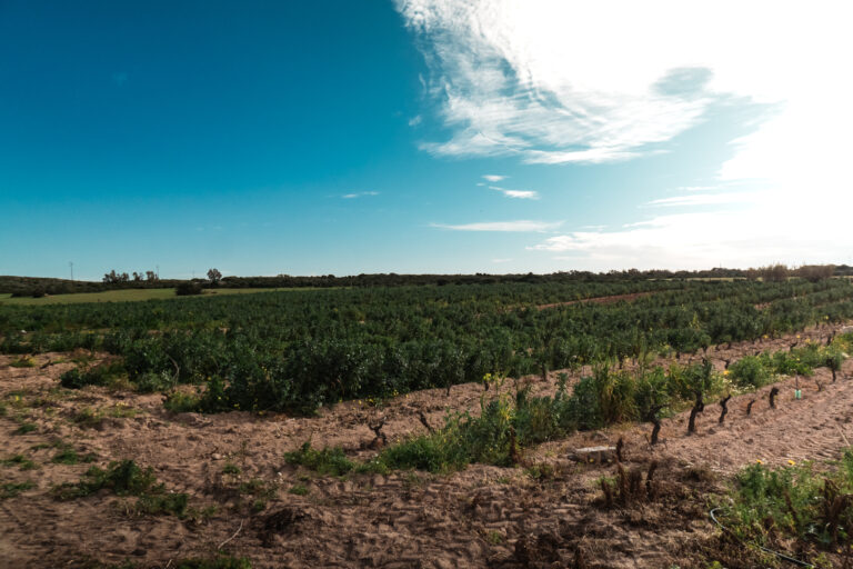 visitsant'antioco-atomrahfilms-124