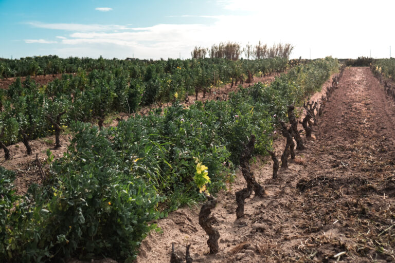 visitsant'antioco-atomrahfilms-143