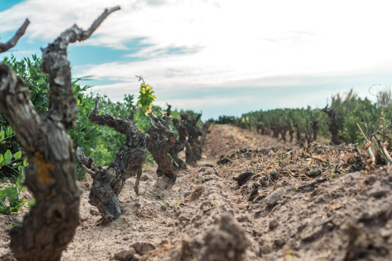 visitsant'antioco-atomrahfilms-151