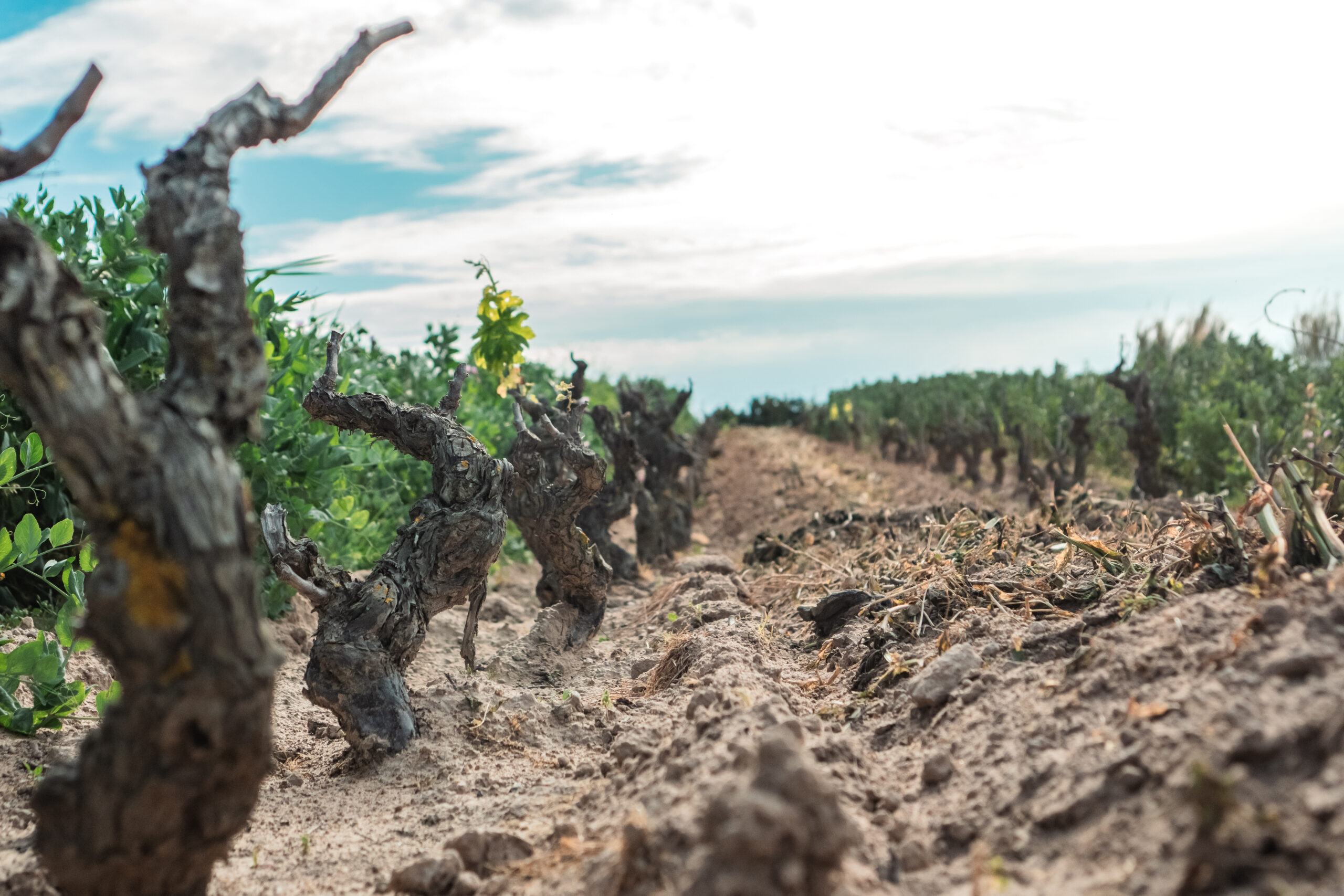 visitsant'antioco-atomrahfilms-151