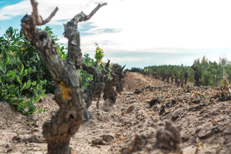 visitsant'antioco-atomrahfilms-152