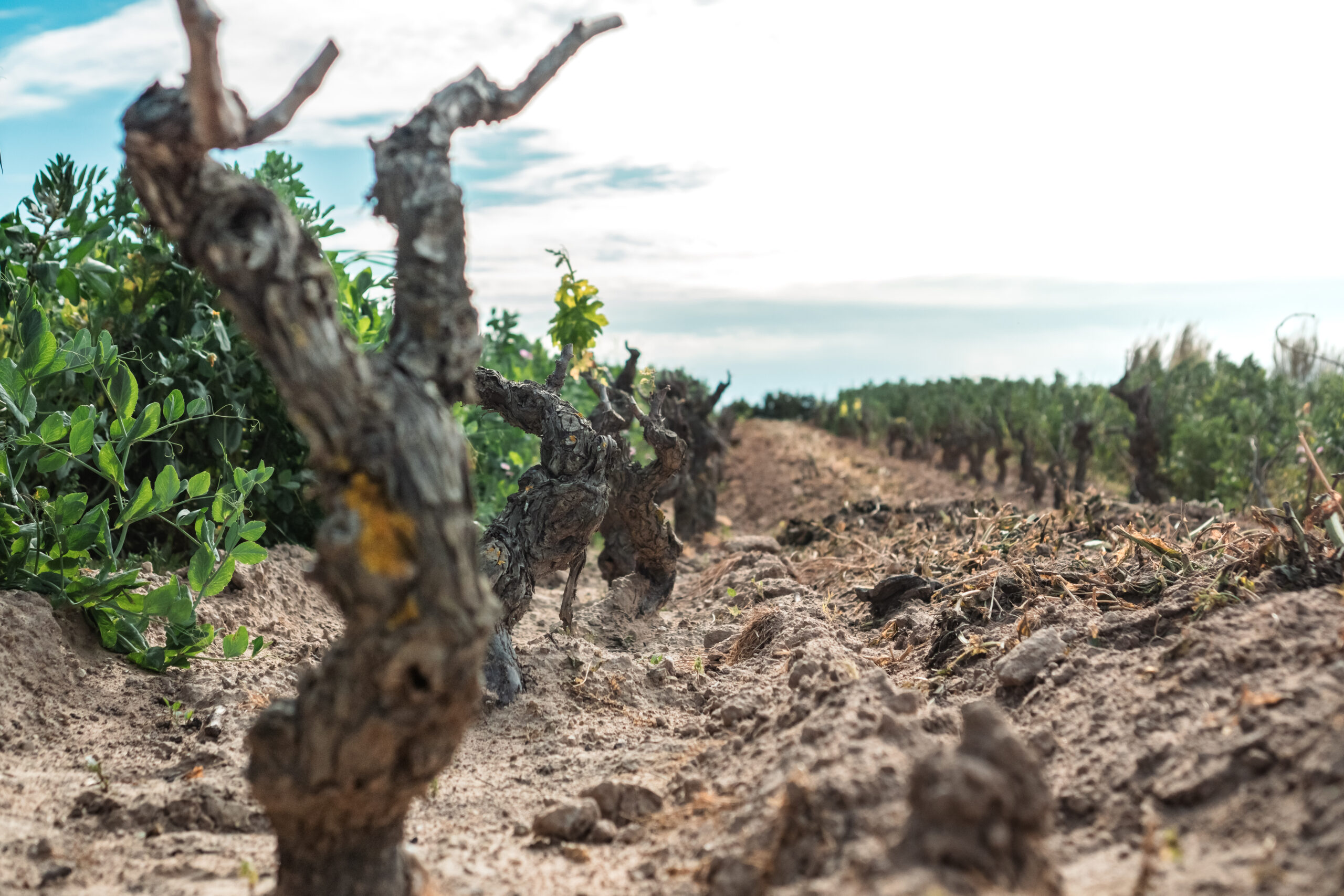 visitsant'antioco-atomrahfilms-152