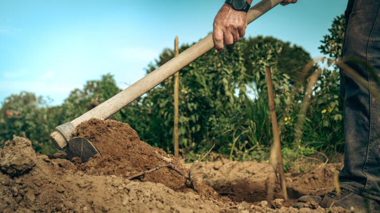 visitsant'antioco-atomrahfilms-178