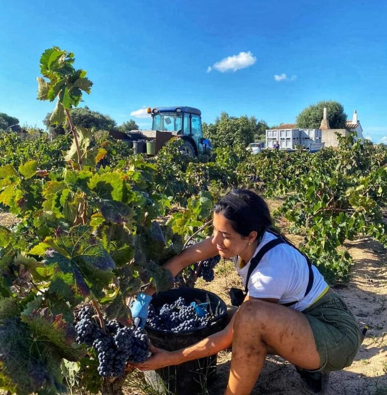 FB_IMG_1681070024556 - erica Verona