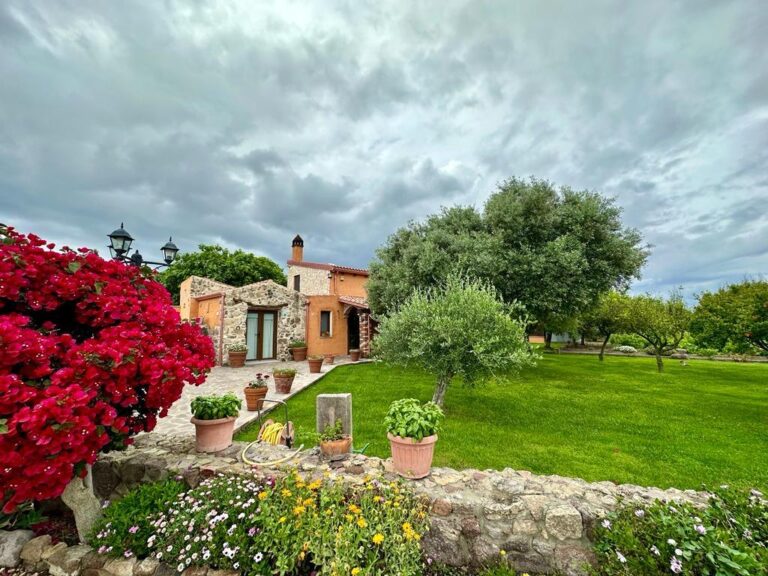 IMG-20250222-WA0016 - Bettina Caddeo