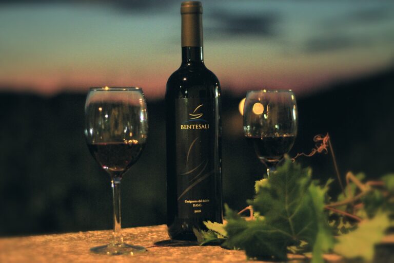 IMG_20180821_092708 - Mario Selis