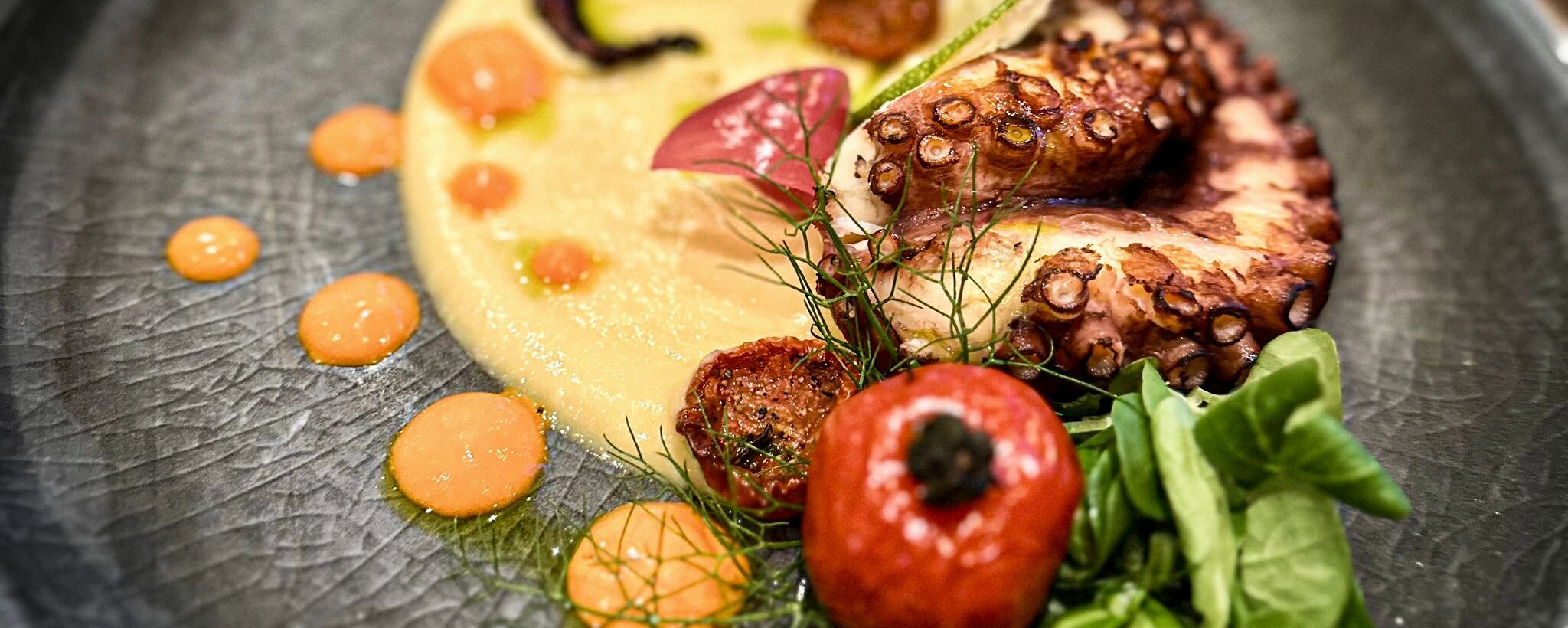 MuMA Bistrot - Polpo arrosto su Hummus di Ceci e pomodorini Confit