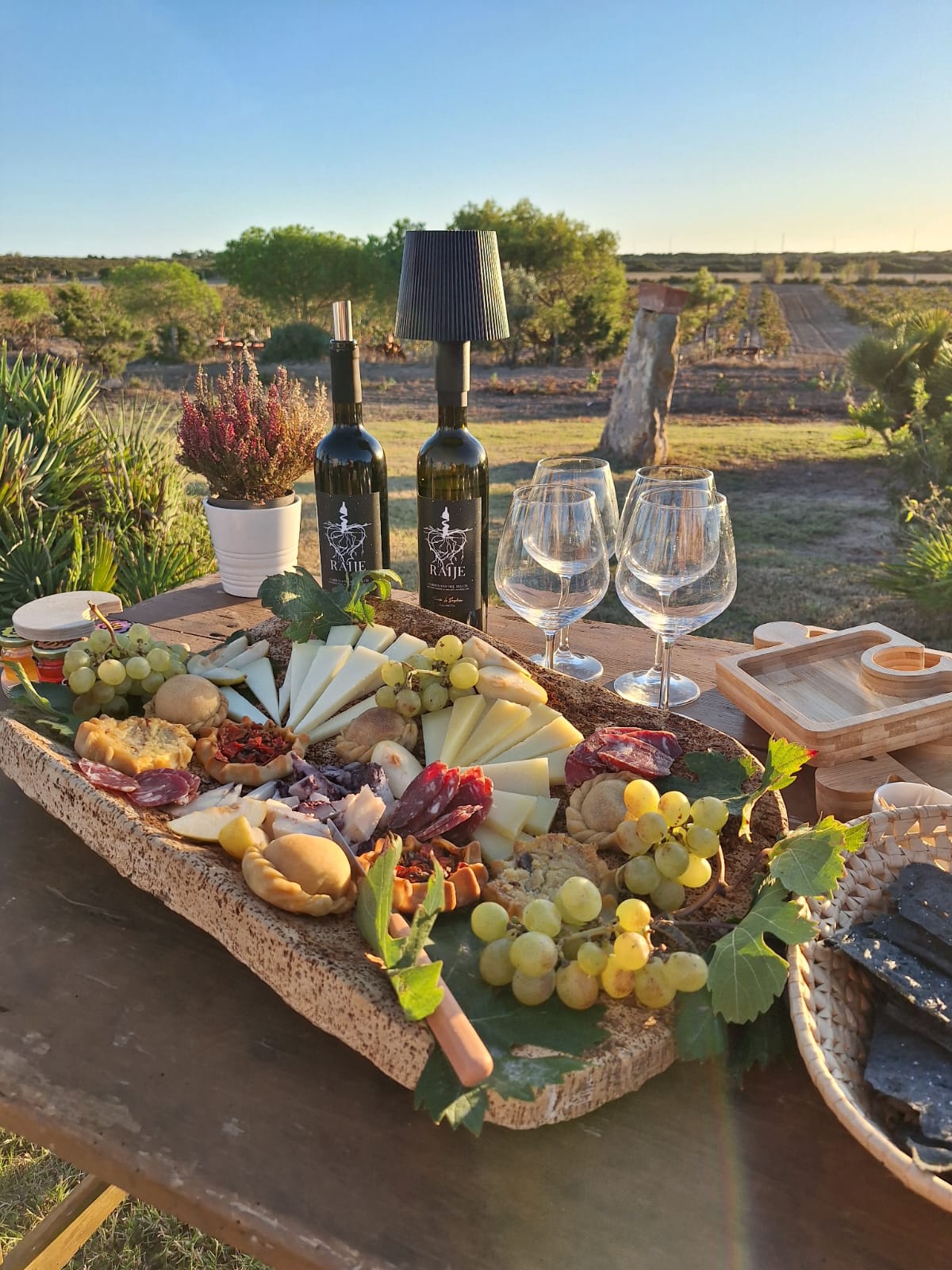 WhatsApp Image 2024-10-03 at 15.35.35 - erica Verona