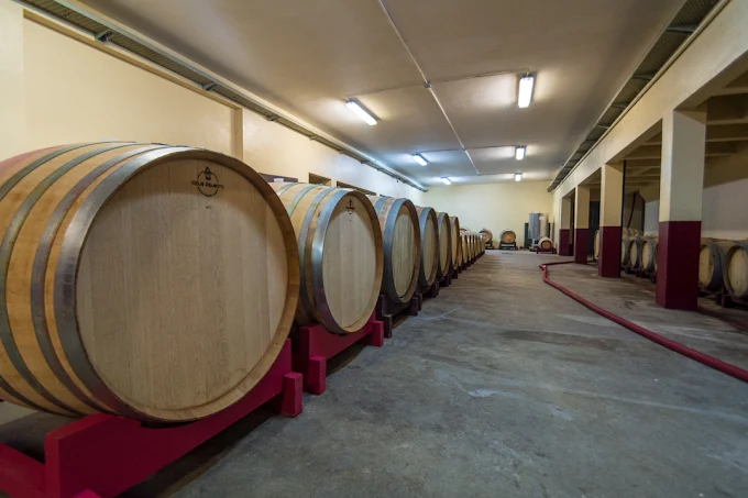 unnamed (4) - Alberto Massa