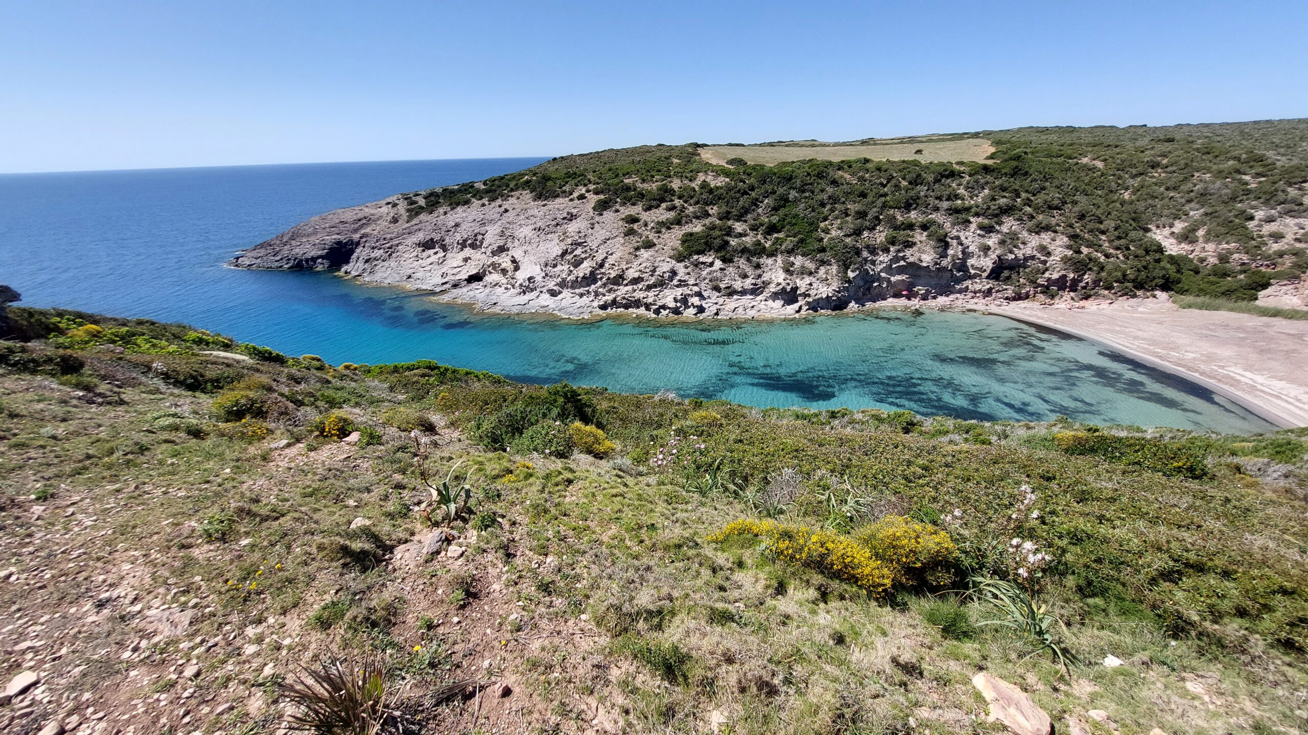 20220426_150340 - Leonardo Corrias