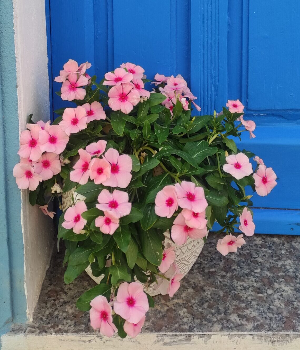 IMG_20250617_132425 - Kristina Degtyaryova