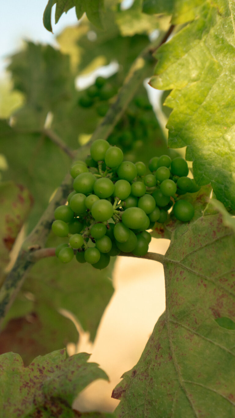 foto intervista sorelle Agus-01