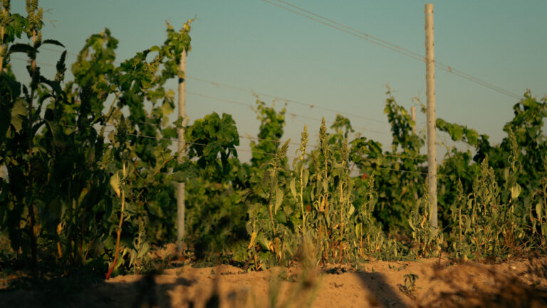 foto intervista sorelle Agus-03