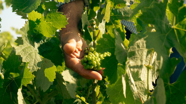 foto intervista sorelle Agus-14