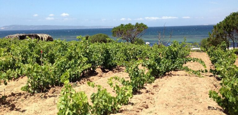 WhatsApp Image 2025-12-03 at 11.43.14 (1)