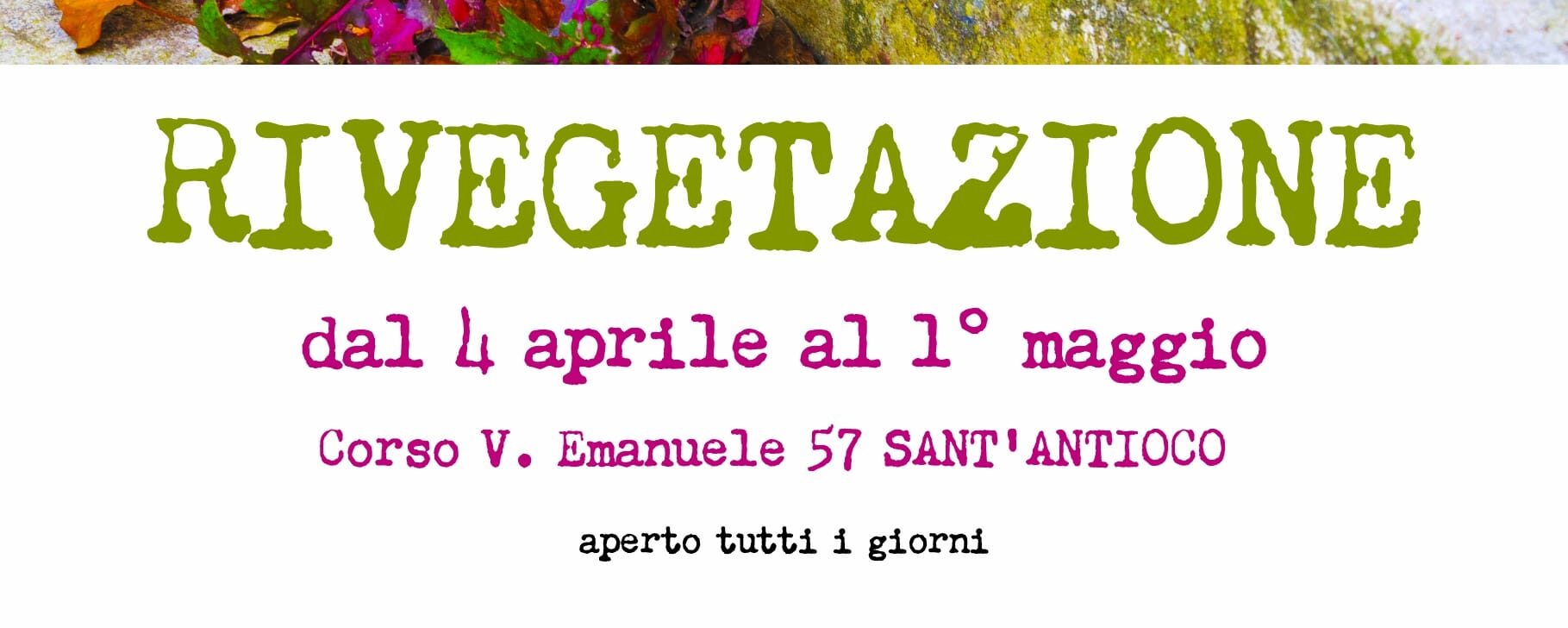 WhatsApp Image 2026-04-11 at 18.10.44 (1)