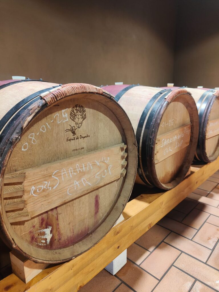 Andaras Botti Carignano Superiore