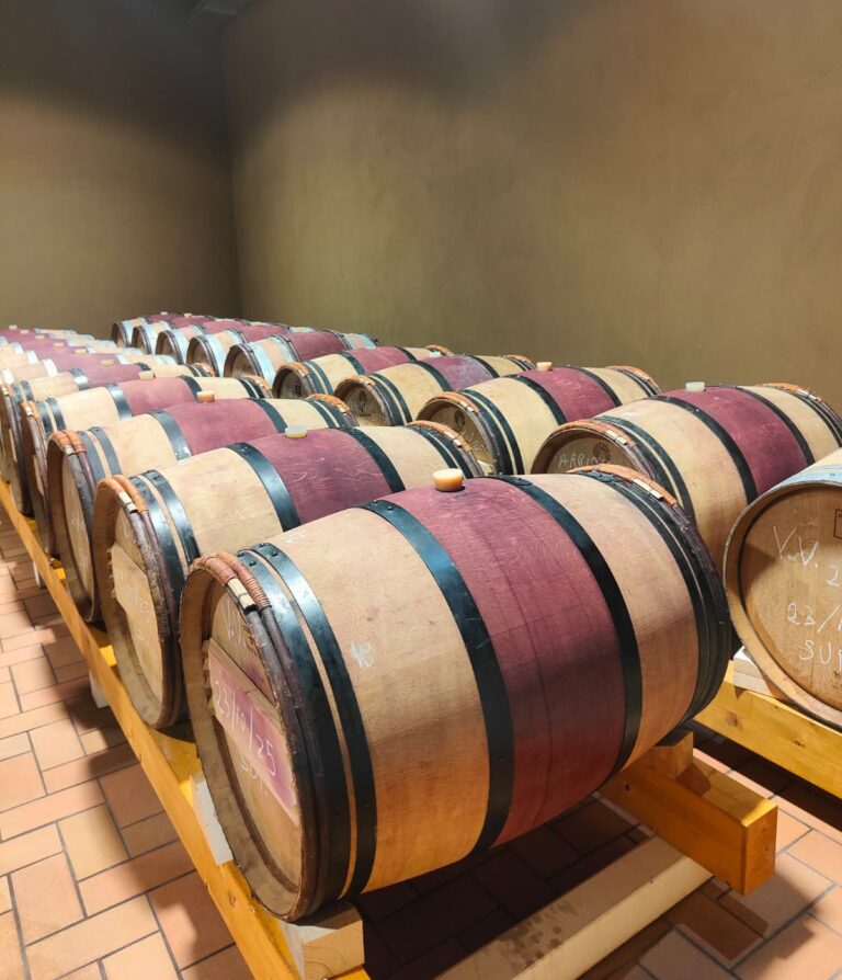 Andaras Botti cantina