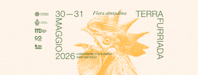 30-31 copertina